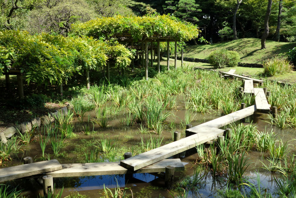 彩音庭園が手がける和風庭園のイメージ